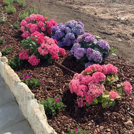 Casa vacanze Quinta Da Ema *