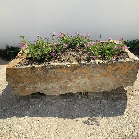 Quinta Da Ema Casa de Férias Santo Estevao das Gales