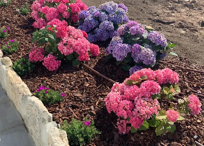 Сasa de vacaciones Quinta Da Ema *